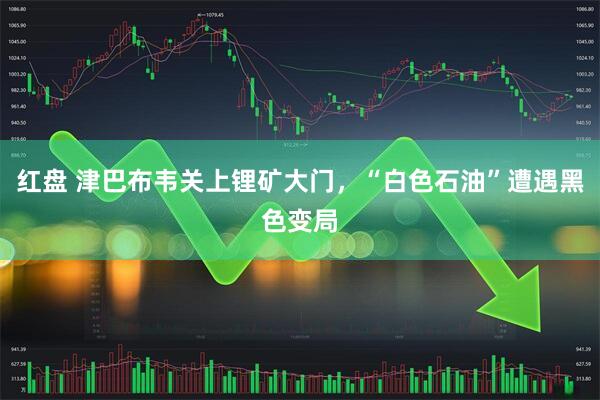 红盘 津巴布韦关上锂矿大门，“白色石油”遭遇黑色变局