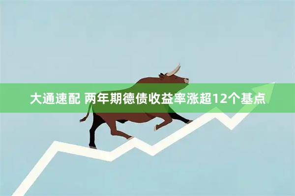 大通速配 两年期德债收益率涨超12个基点