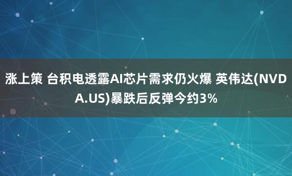 涨上策 台积电透露AI芯片需求仍火爆 英伟达(NVDA.US)暴跌后反弹今约3%